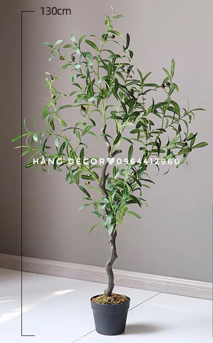 Cây giả cao cấp - cây oliu giả (size 85cm và 130cm) hằng decor