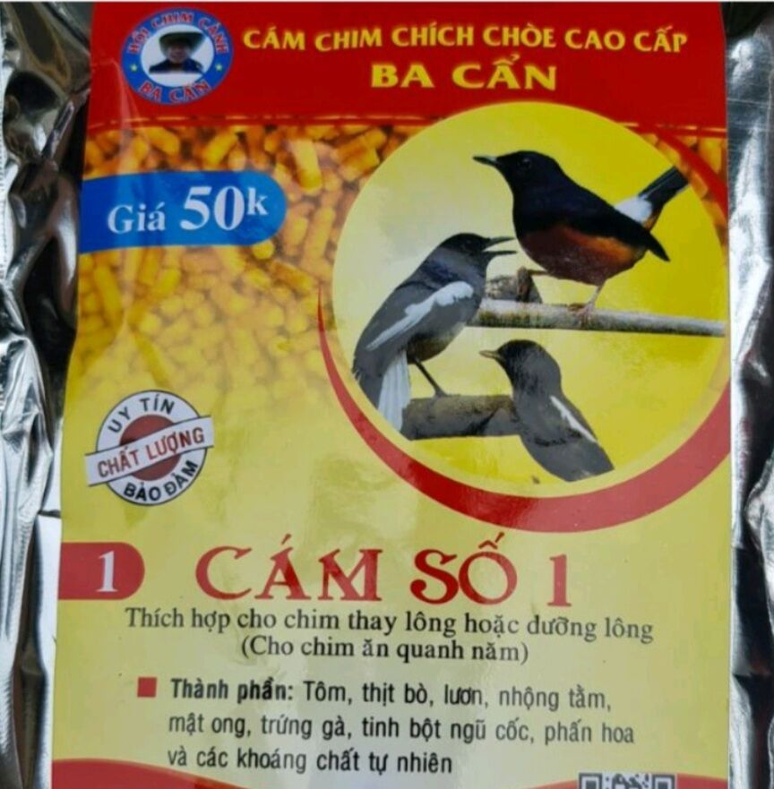 Cám chích chòe cao cấp số 1