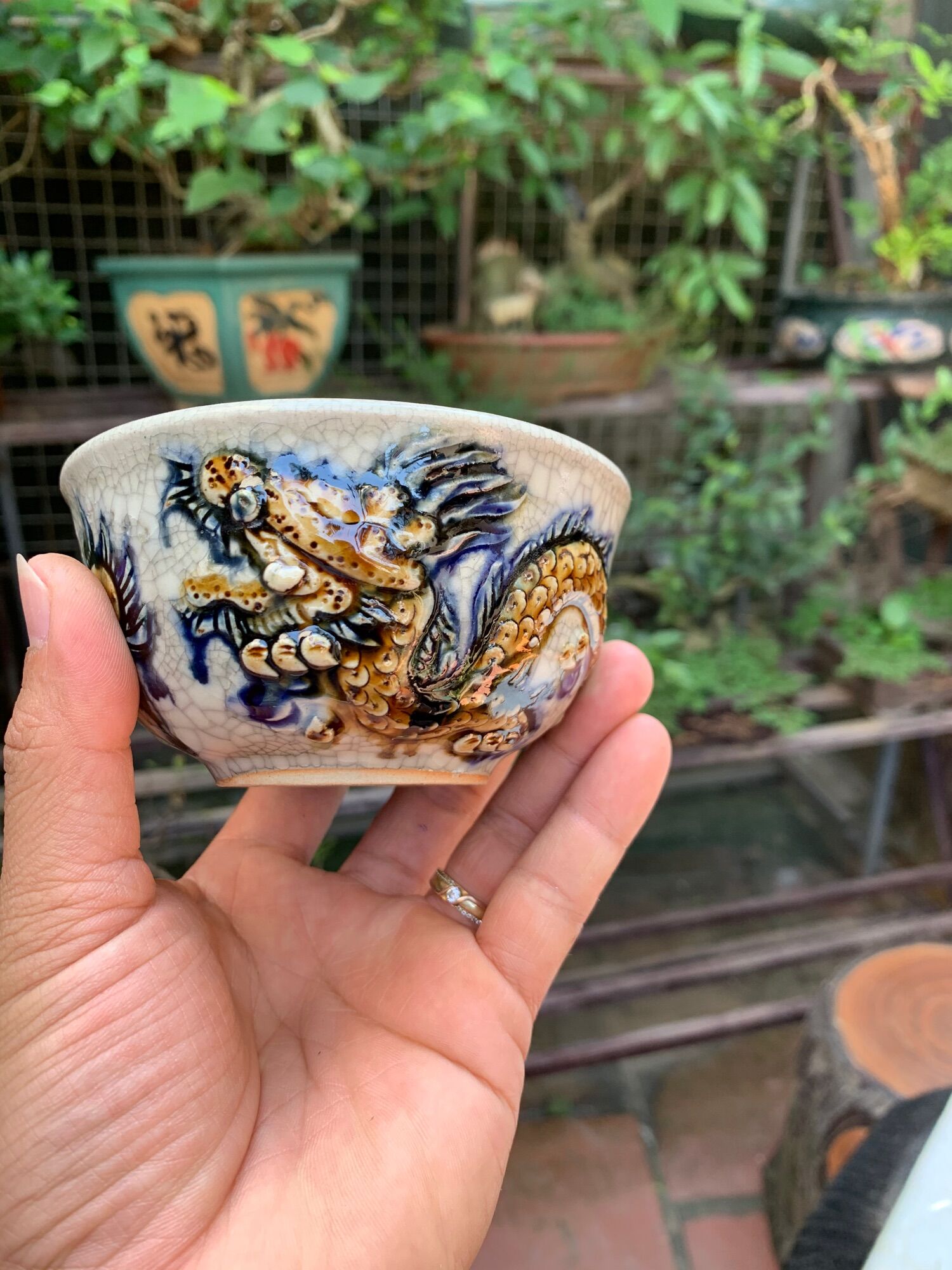Chậu trồng cây bonsai mini