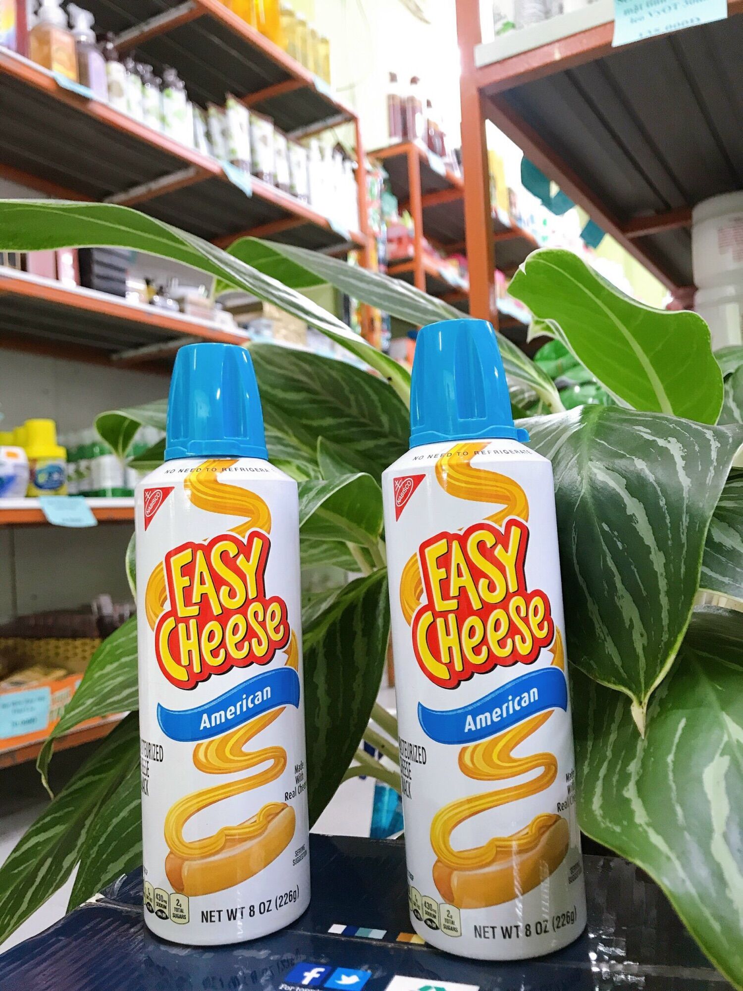 Phô mai dạng xịt  Easy Cheese 🧀🧀🧀
