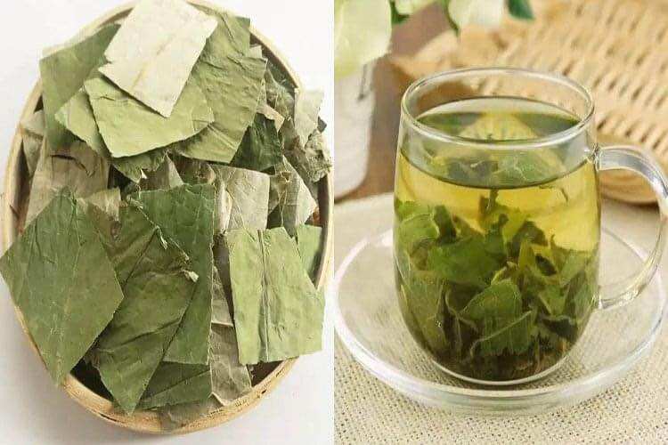 Trà túi lọc lá sen hồng sâm Liên Hoa Chi