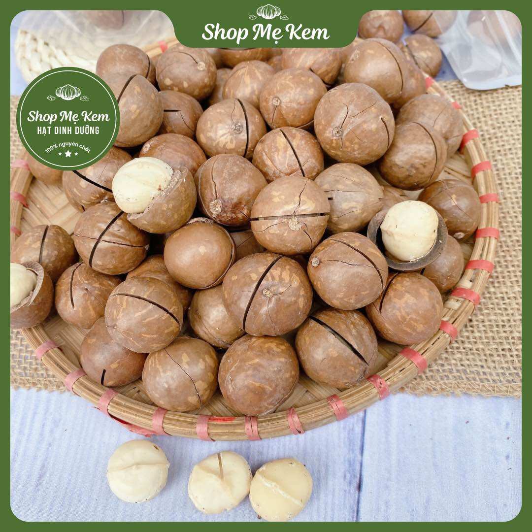 500G Quả Macca Daklak thơm ngon