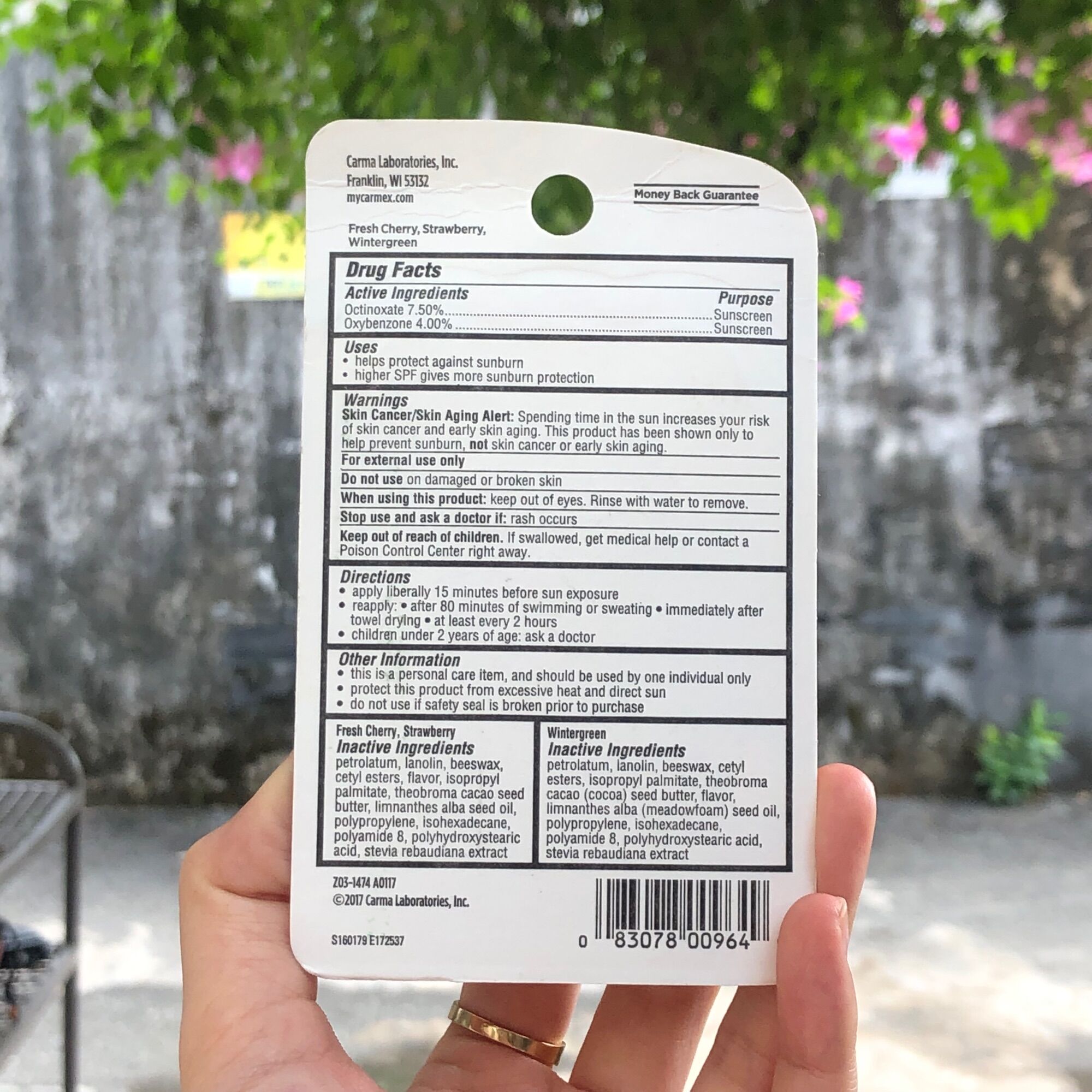 Son dưỡng môi Carmex Moisturizing Lip Balm