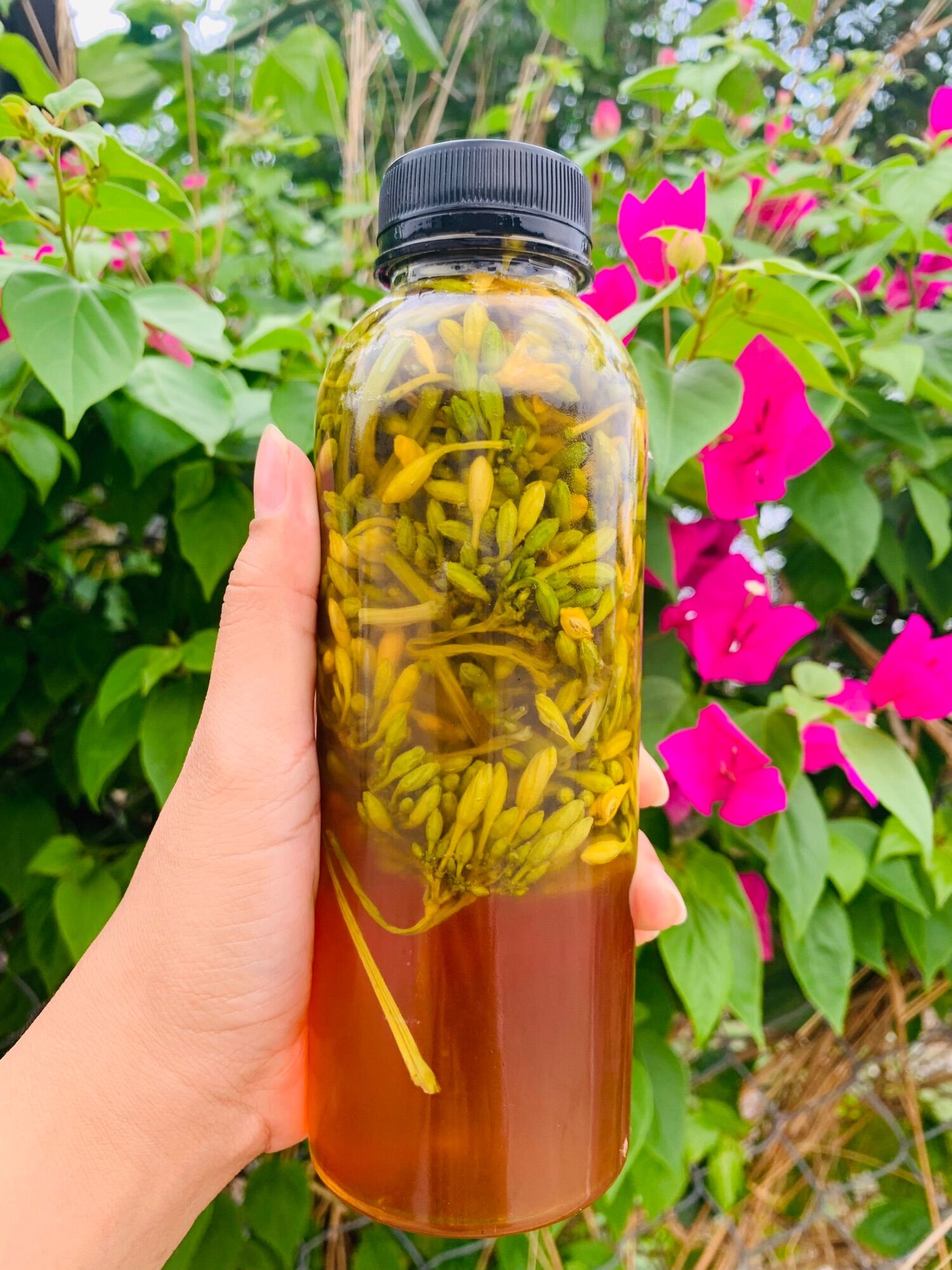 Hoa đu đủ đực tươi ngâm mật ong 500ml.