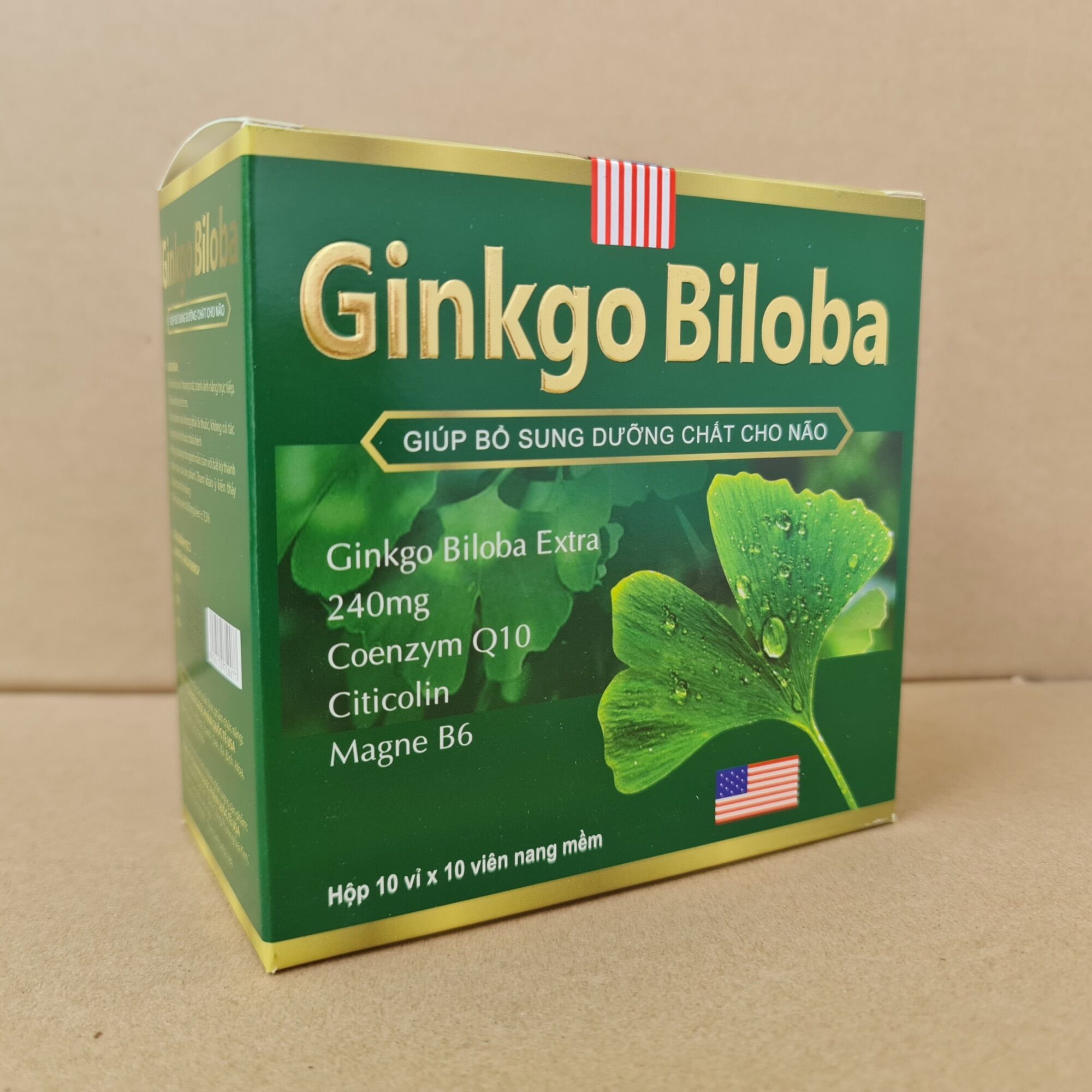 Hoạt huyết dưỡng não Ginkgo Biloba Extract 240mg - Hộp 100 viên