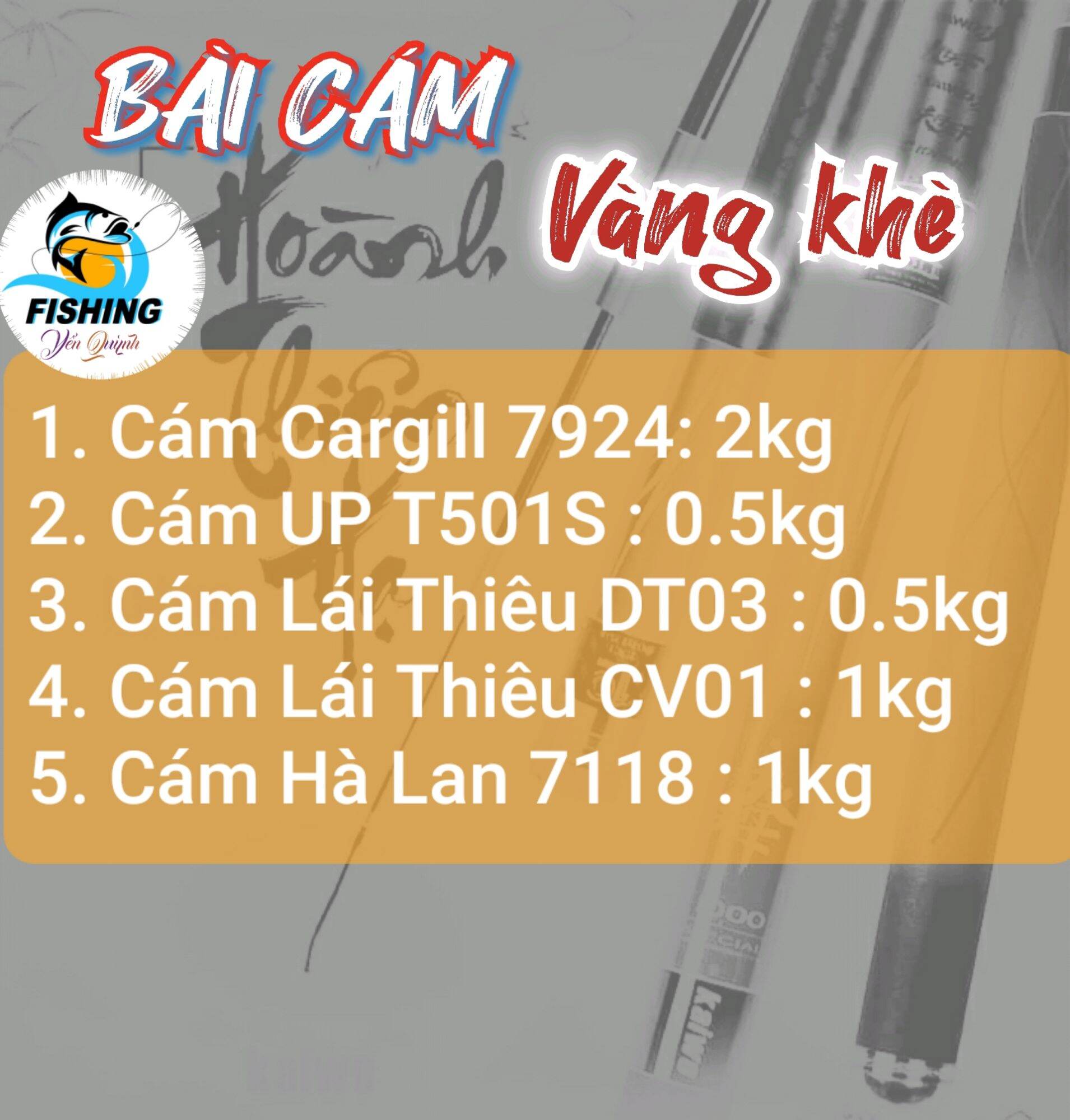 Bài cám Vàng khè câu cá Chép, trắm, trôi to