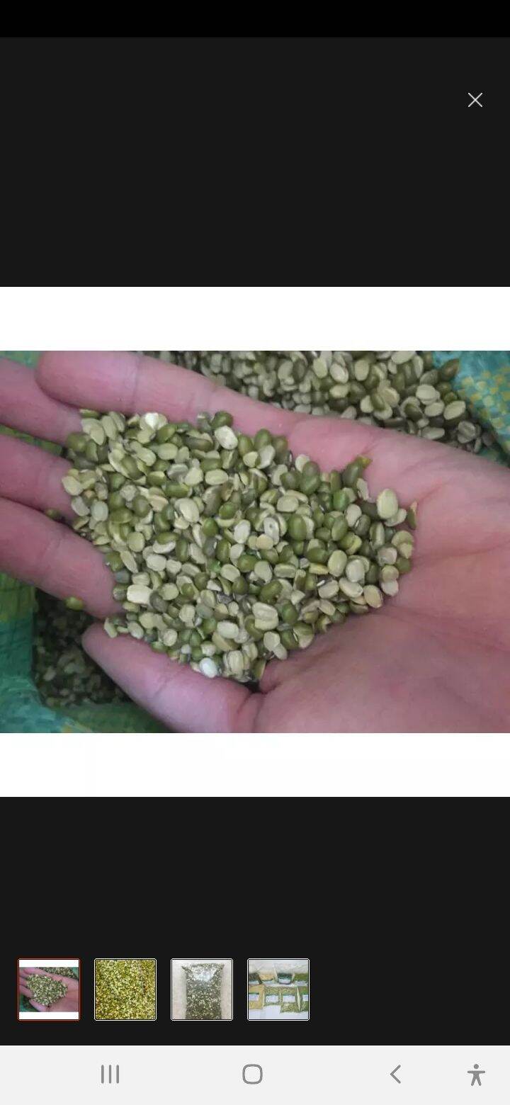 đậu cà (đậu bể đôi còn vỏ) 1 kg
