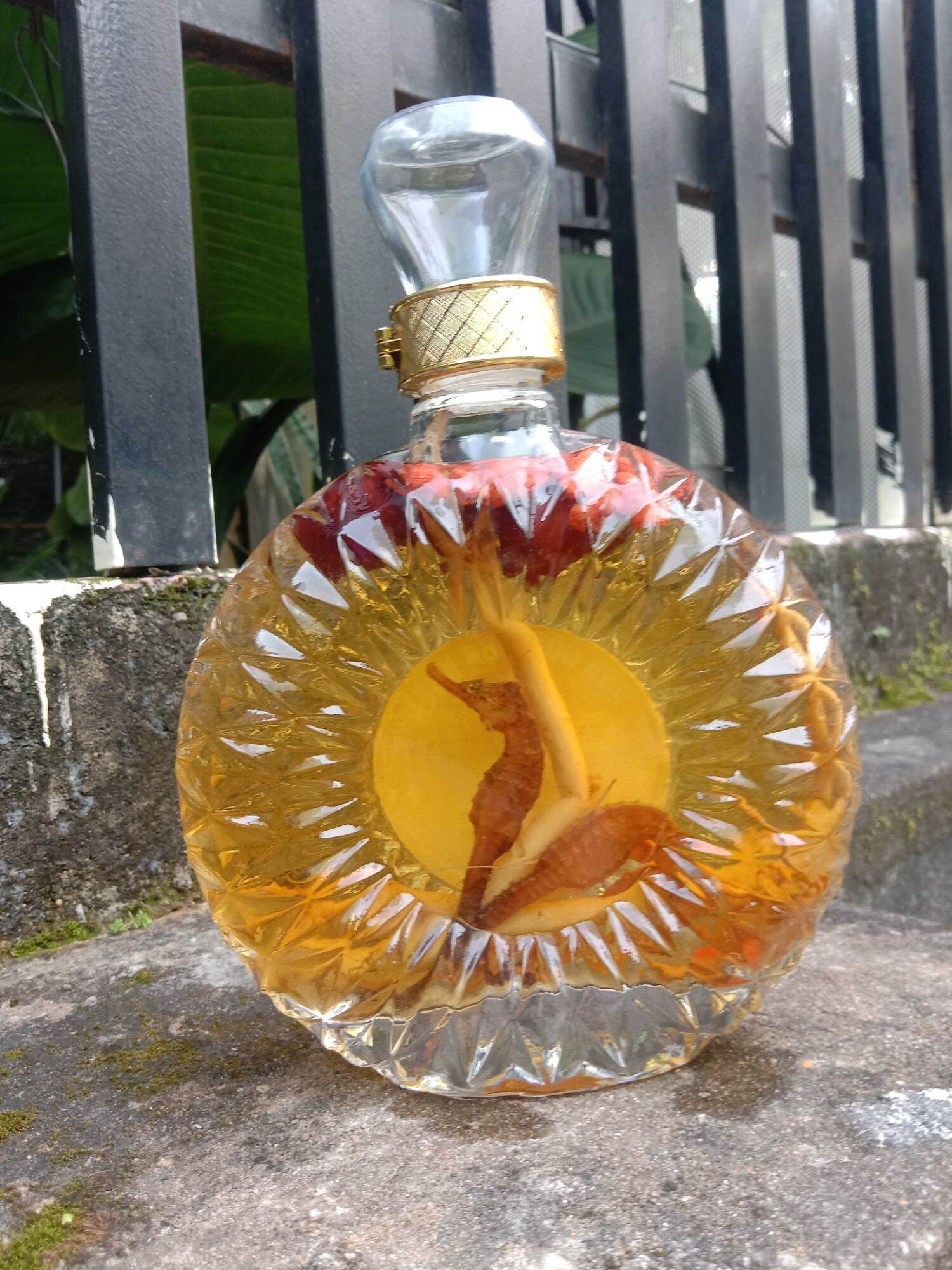 cá ngựa ngâm sẵn chai XO 650ml