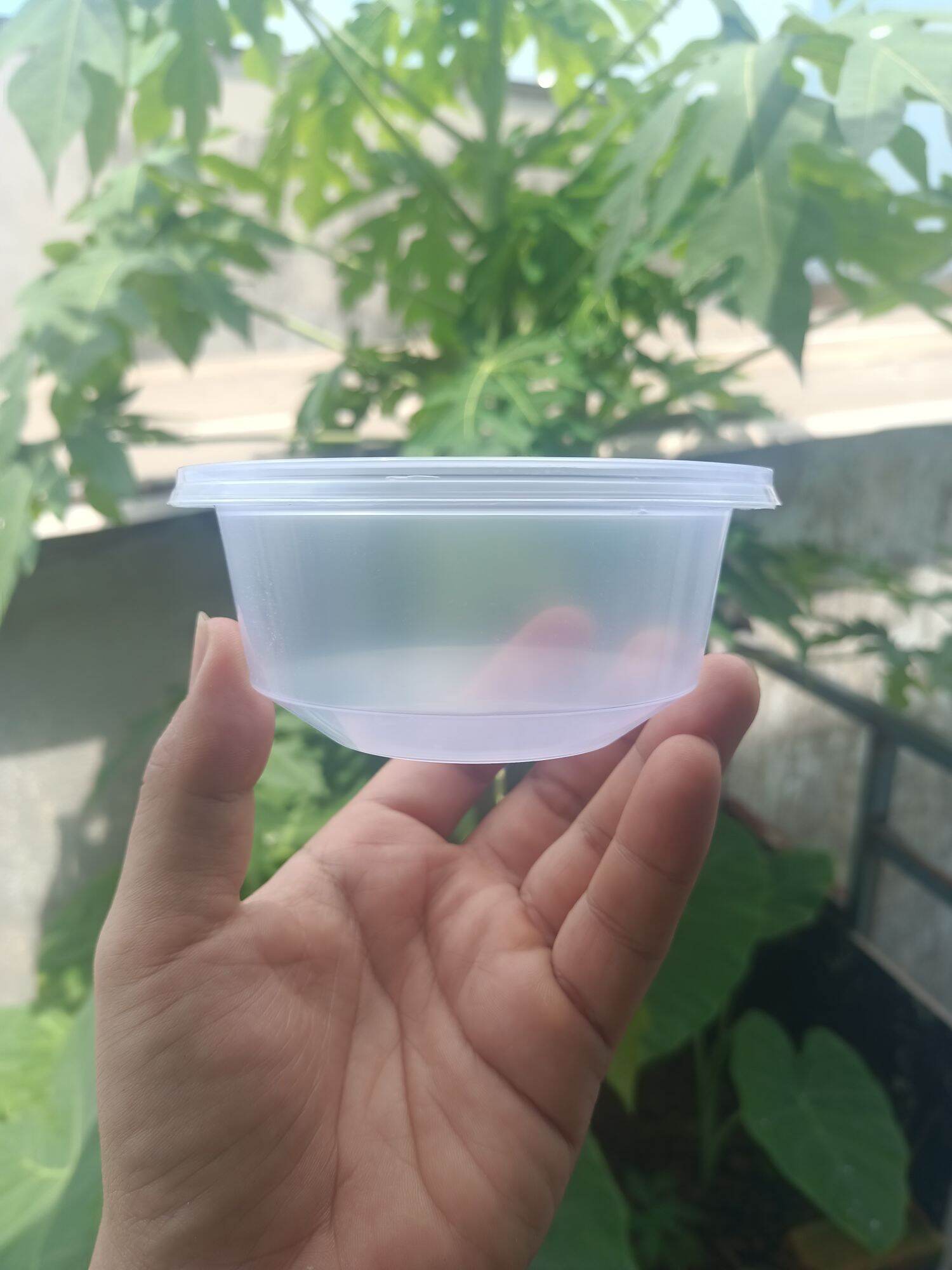 [Combo lốc 10c] 250ml Thố nhựa Vĩnh Phát