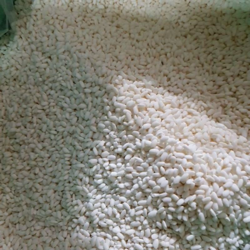 Gạo nếp Bắc Thơm dẻo Túi 1kg