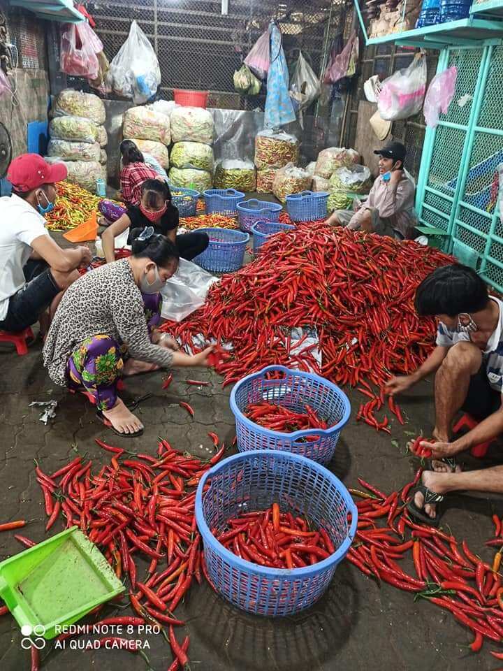 Ớt Siêu Cay (1kg)