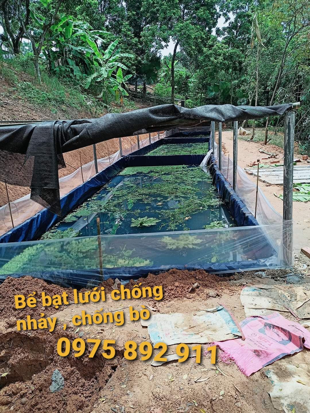 Bể bạt nuôi ốc ếch cá lươn 5x2x1 - loại HDPE