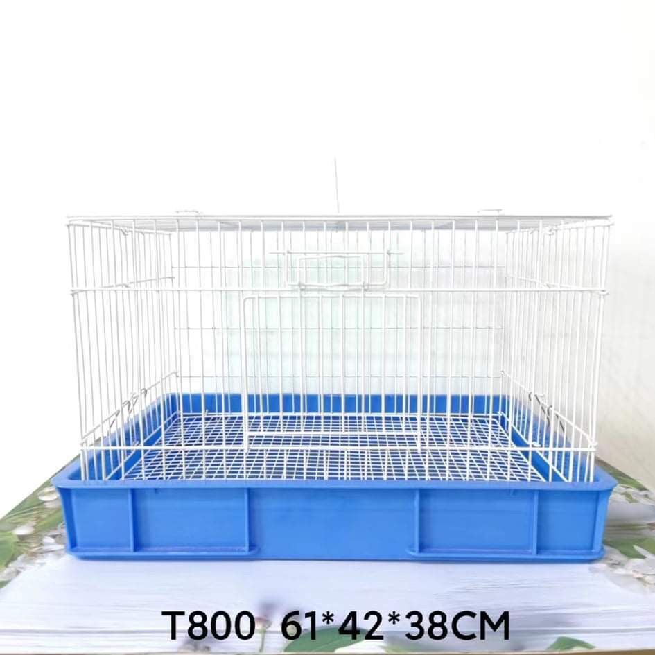Mẫu lồng Thái nuôi chim vẹt con size 60 x 40cm.