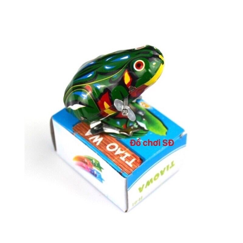 Con cóc nhảy - 1 con