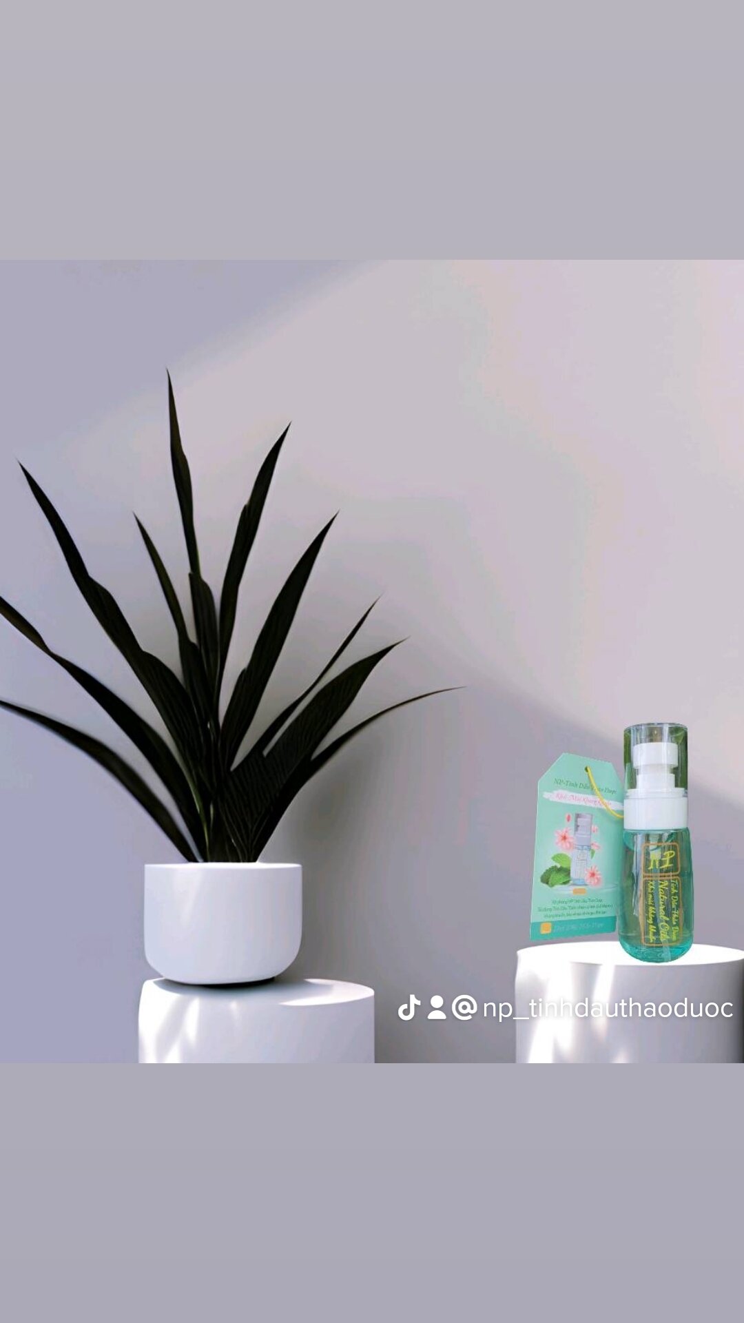 ★ Np_xịt phòng Tinh Dầu Thiên Nhiên.♥( Trà Trắng+Bạc Hà)