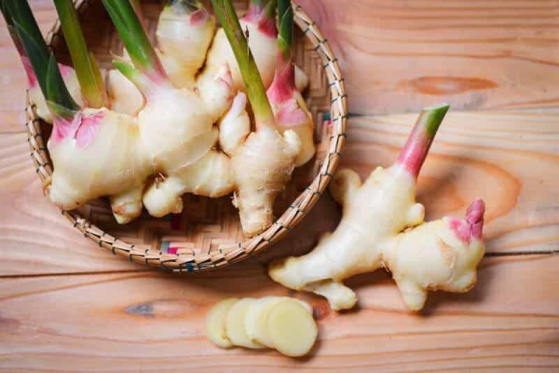 Gừng gió mọc rừng tự nhiên 1kg