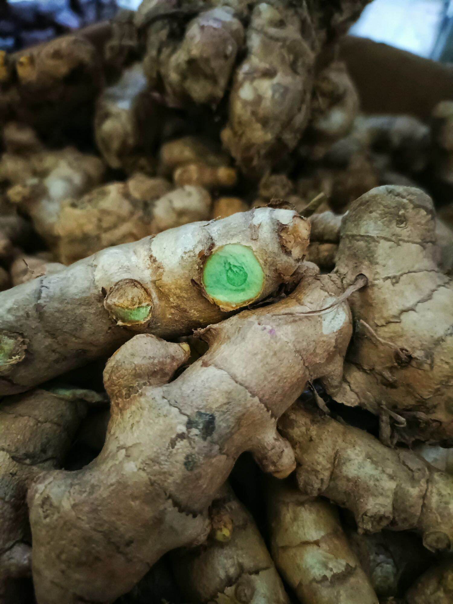 500g nghệ xanh chuẩn