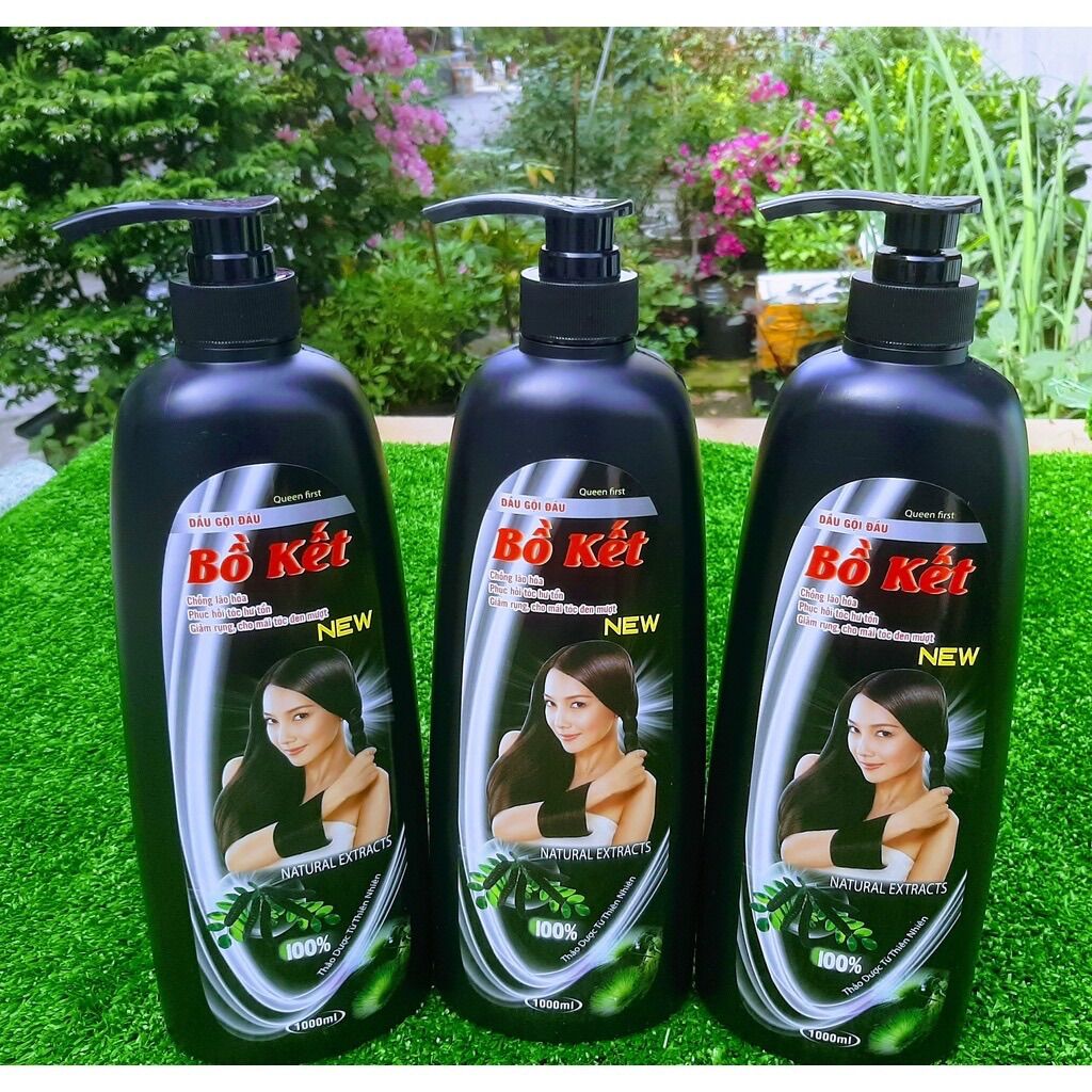 Bồ Kết