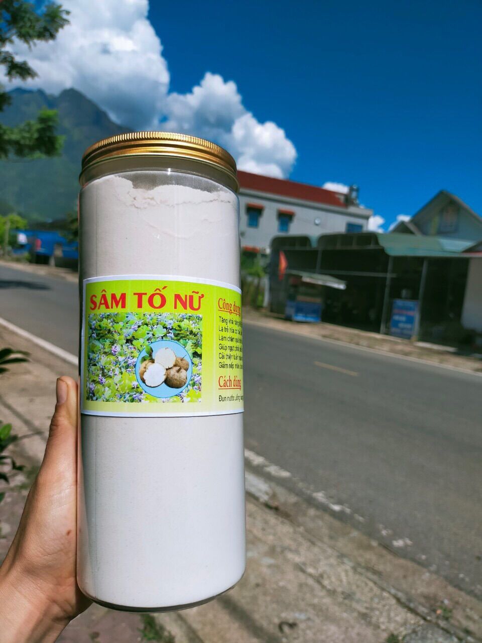 Sâm tố nữ thái lát phơi khô