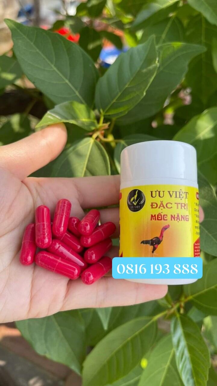 T.huốc nấm mốc uống ưu việt