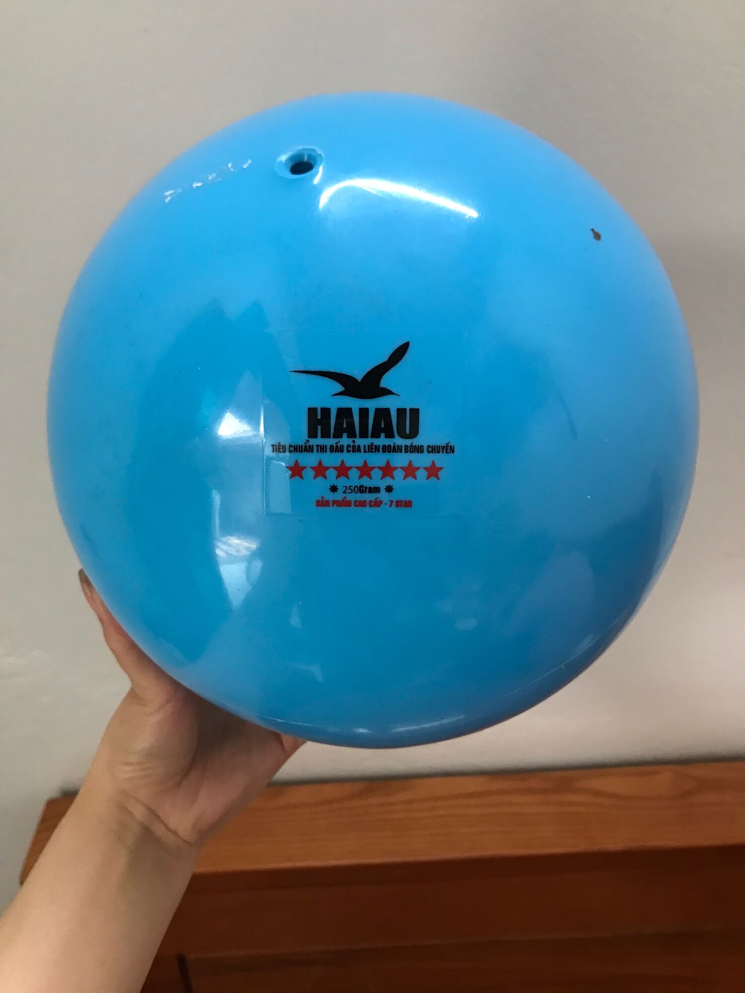 ✅✅bóng chuyền hơi 200g hải âu tiêu chuẩn thi đấu,cam kết chính hãng ✅✅