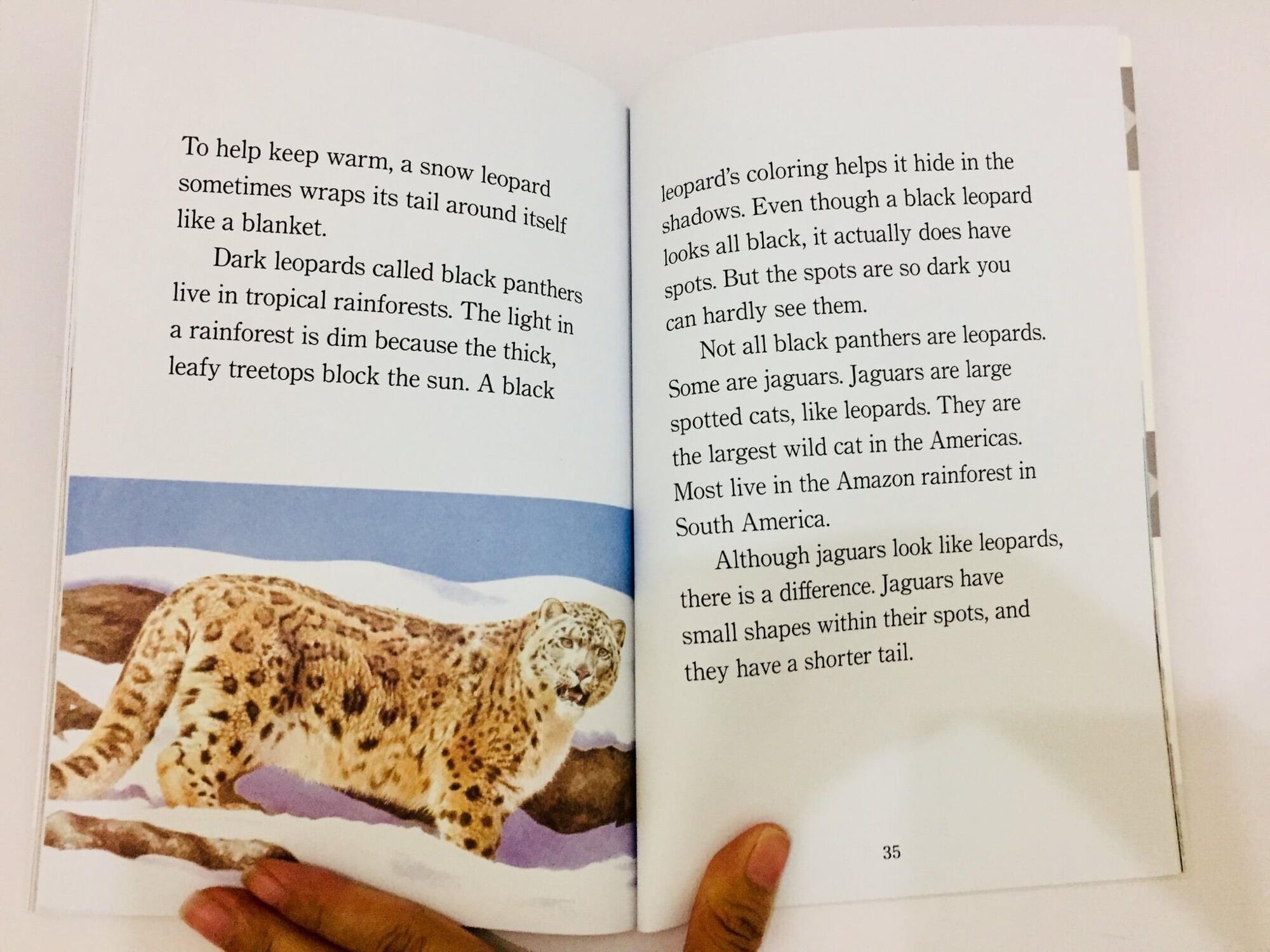 Step into reading level 4