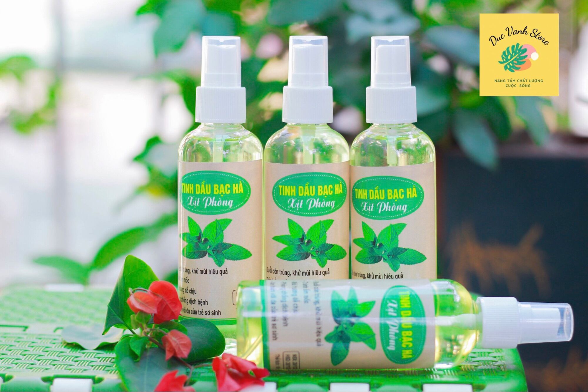 Tinh dầu bạc hà cao cấp, nguyên chất 100%