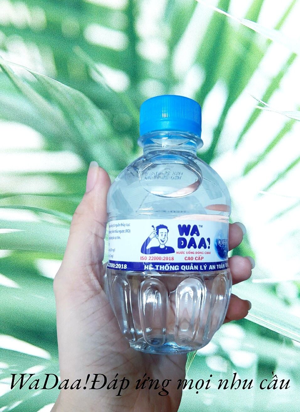 Lốc 12 chai nước suối WADAA Loại 250ml nhỏ gọn, tiện lợi.