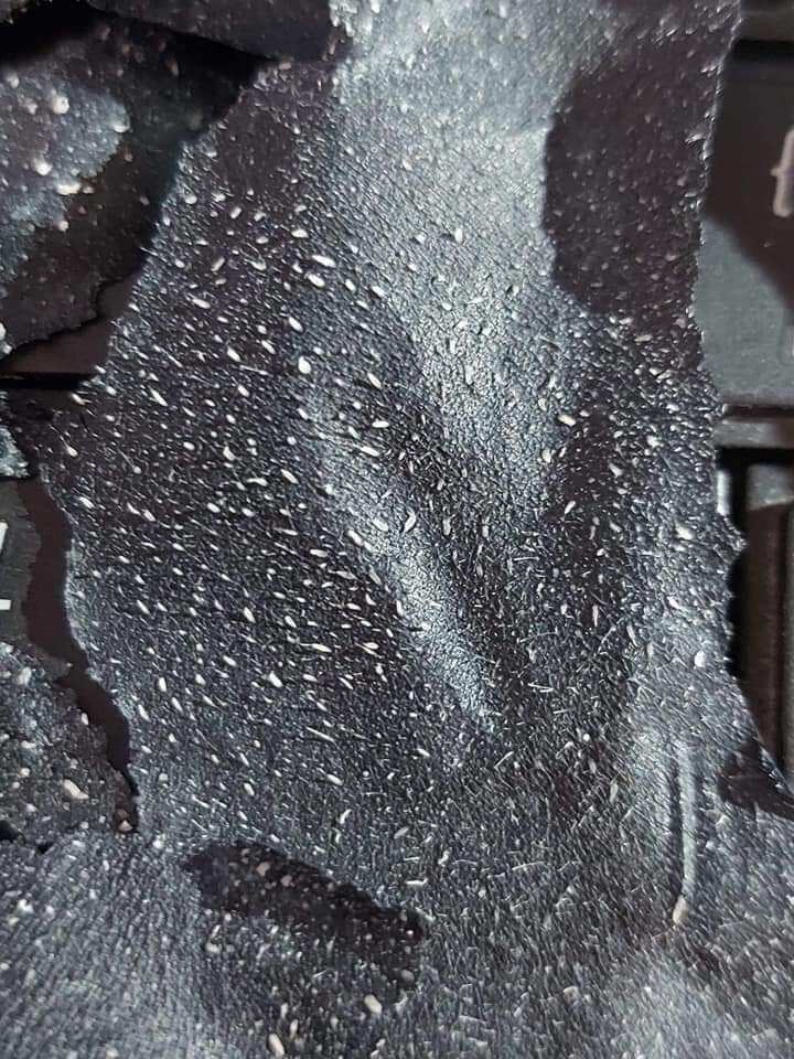 Gel hút mụn than tre Ladevan
