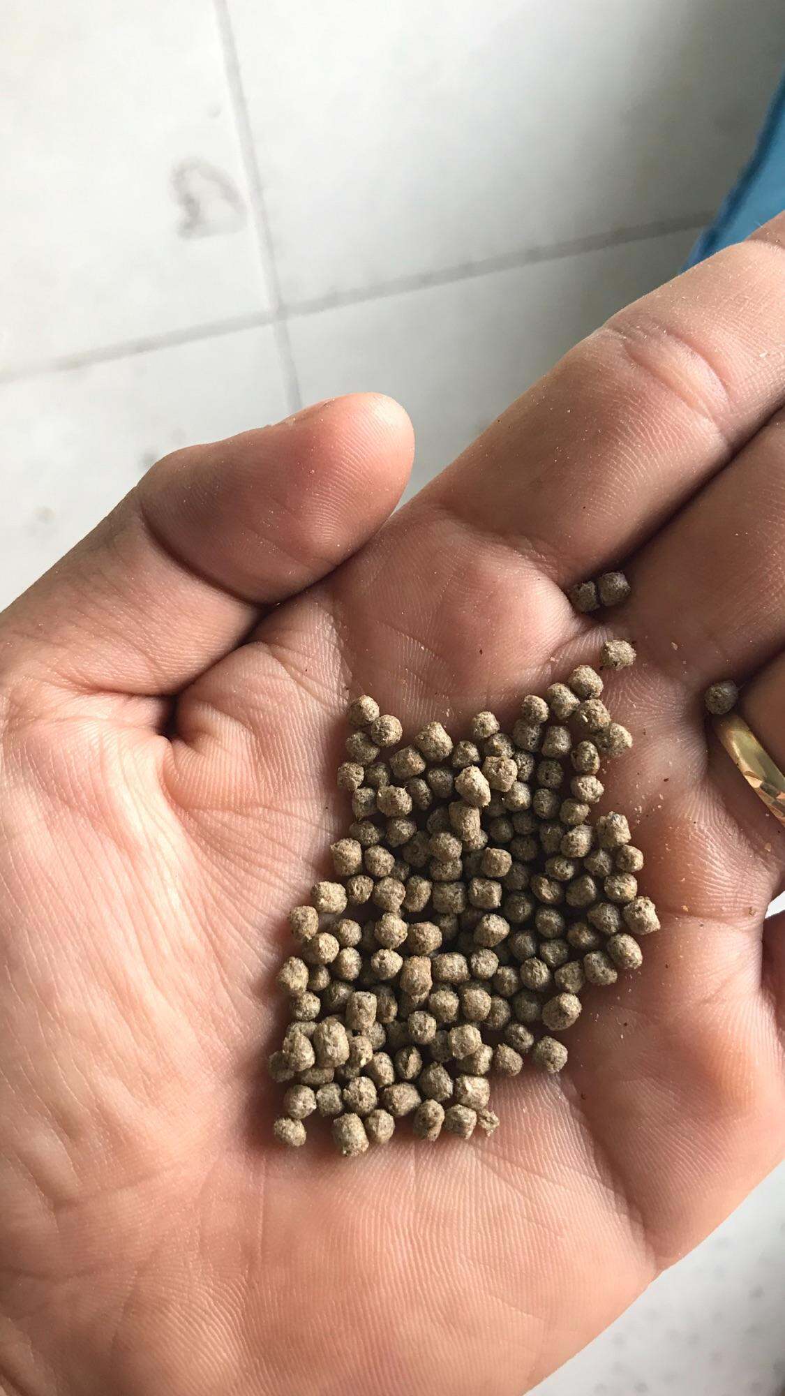 1kg Thức Ăn Dành Cho Cá Nhỏ ( Dạng Viên Nổi )