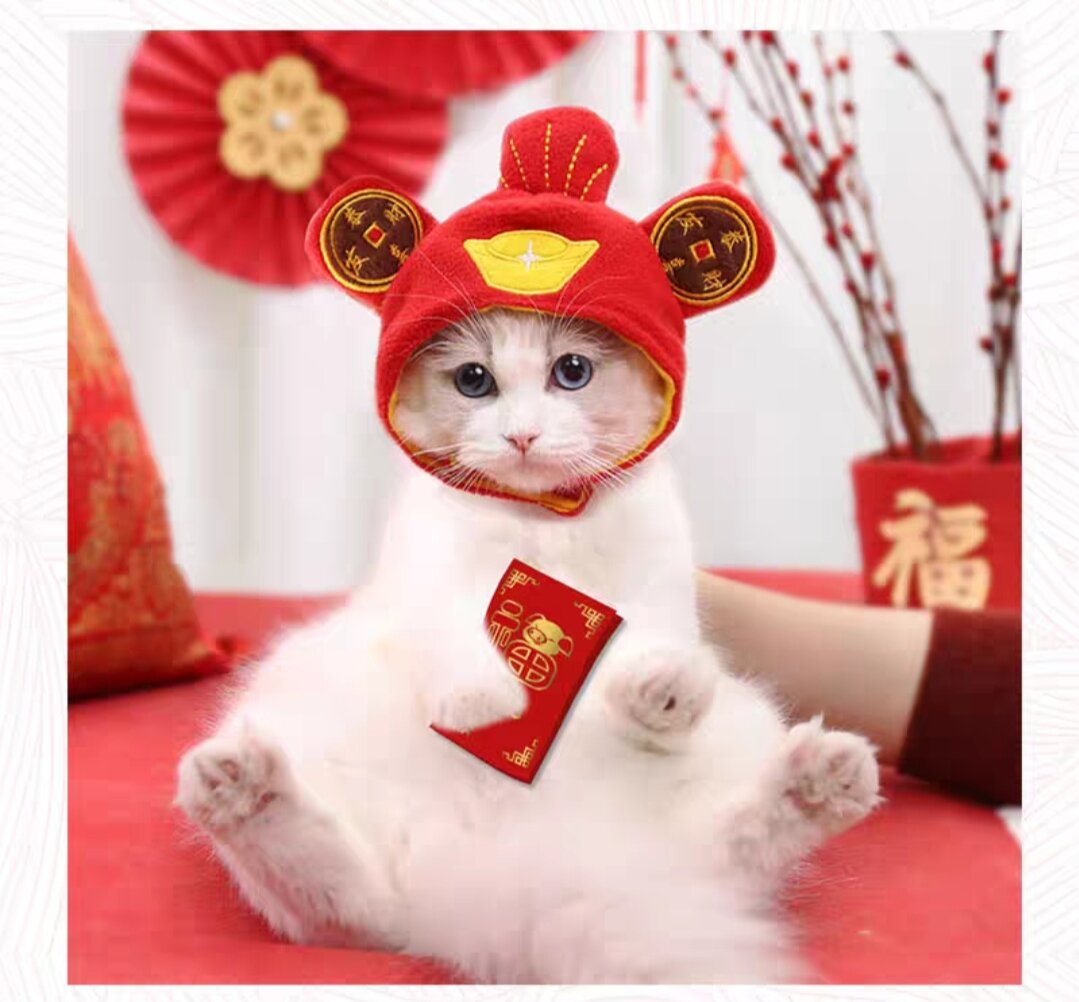 (HCM) Áo Nón Tết cho thú cưng chó mèo