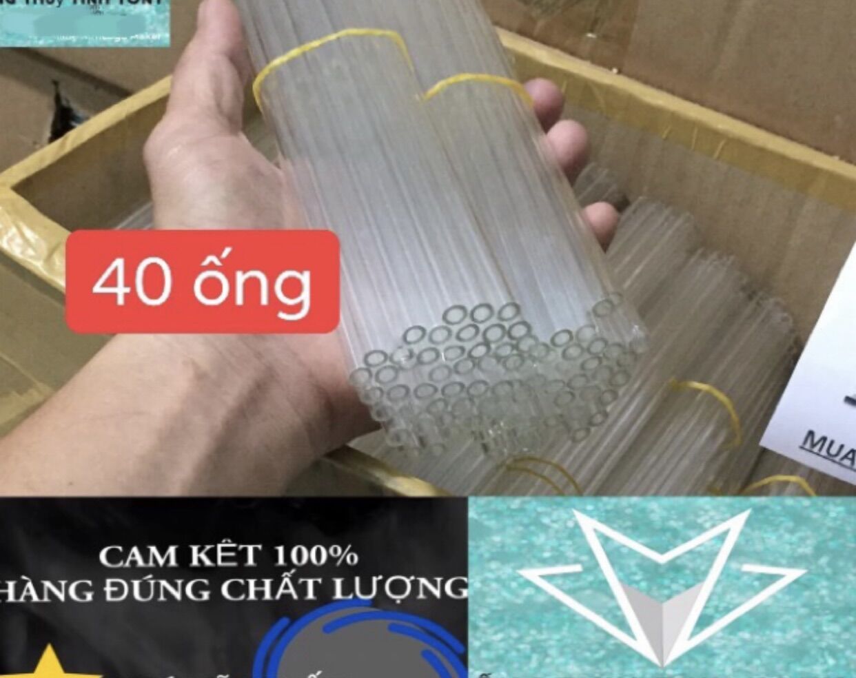 ống thủy tinh đức combo 40 ống trắng
