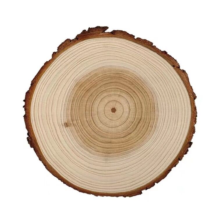 Lát gỗ thông dùng trang trí decor phòng