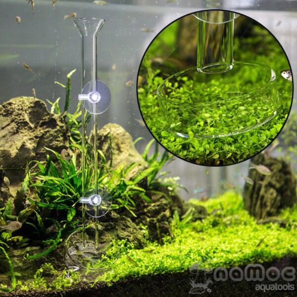 Ống và chén thủy tinh đựng thức ăn cá tép thủy sinh