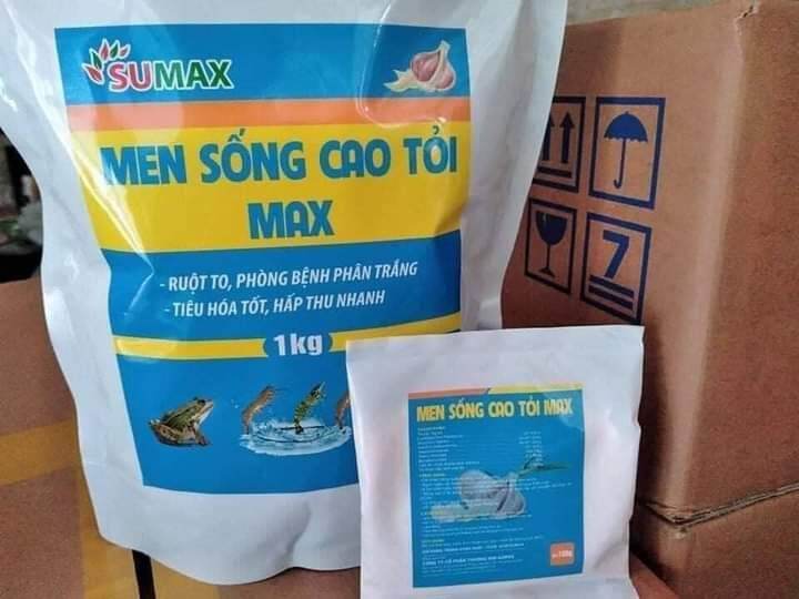 [men vi sinh cá tôm] MEN SỐNG CAO TỎI THỦY SẢN