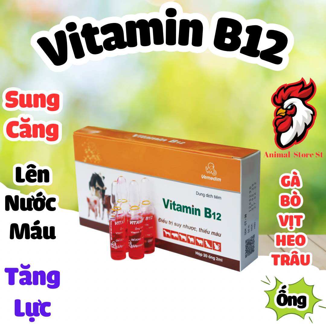1 Ống Vitamin B12 2ml giúp lên nước máu, sung căng đỏ khỏe gà đá