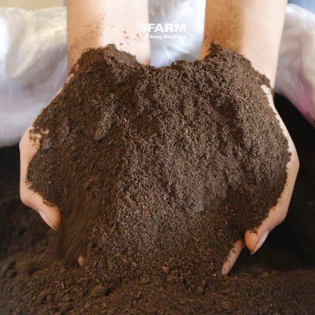 1kg giá thể chuyên dụng trồng dâu tây, bạc hà - Giá thể ươm đủ dinh dưỡng