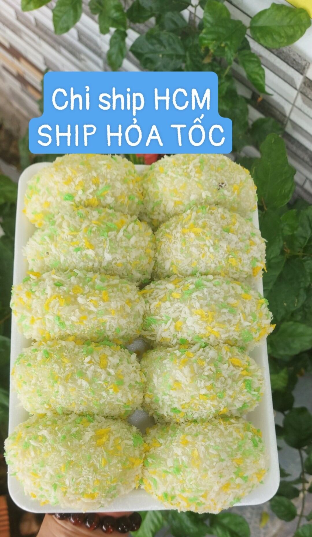 Xôi gà nấm mini 10 cái _ ship hỏa tốc hcm