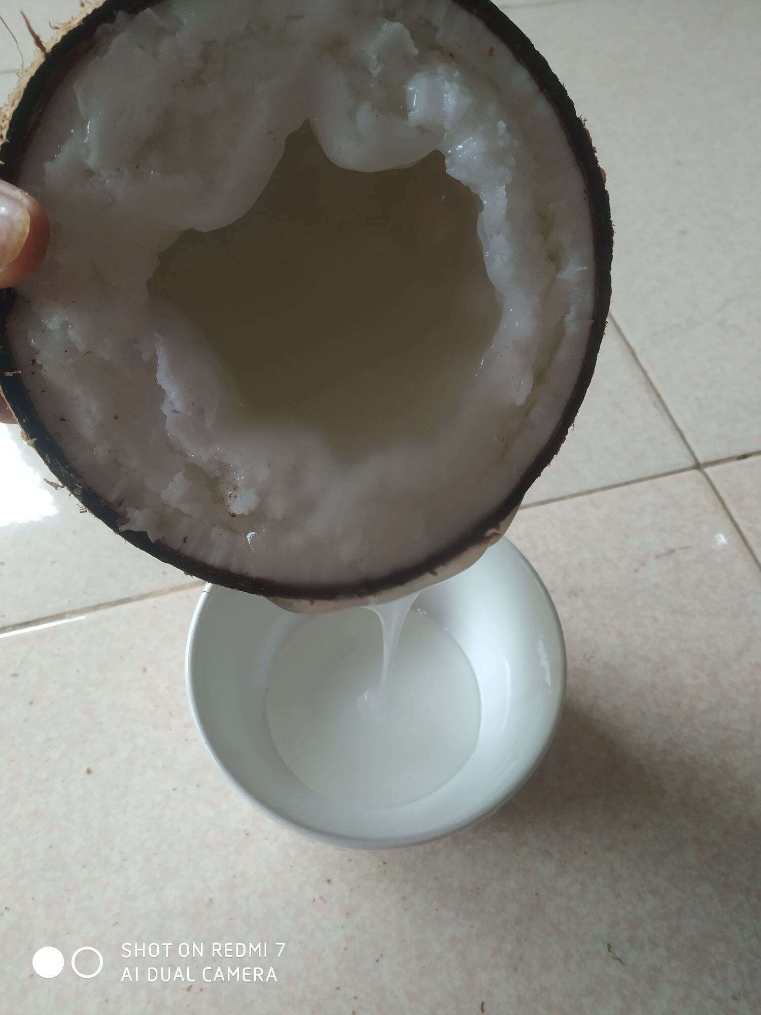 Dừa sáp đặc sản Trà Vinh
