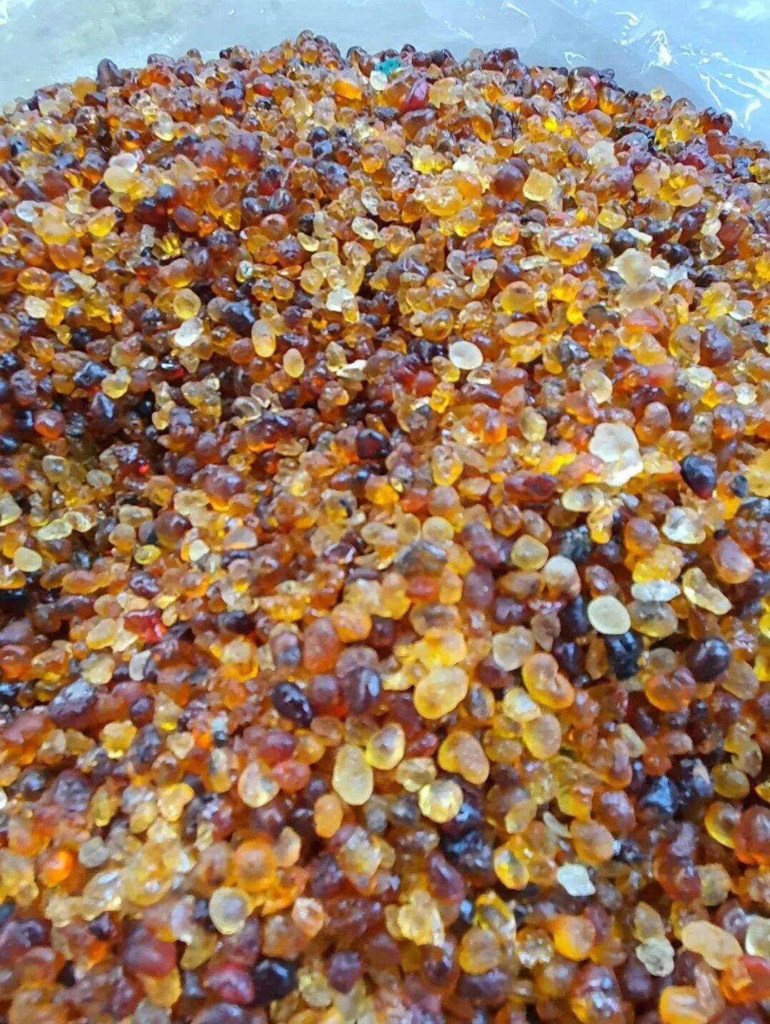 100g lệ đào