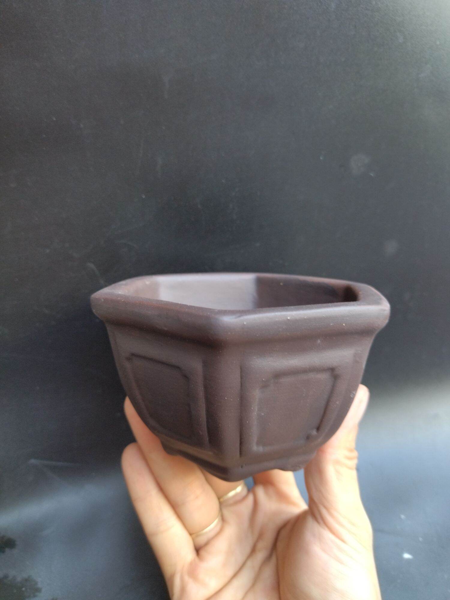 chậu lục giác bonsai