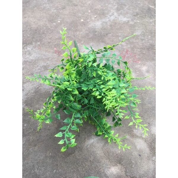 Cụm Cỏ Điểm _ Lá Giả Trang Trí