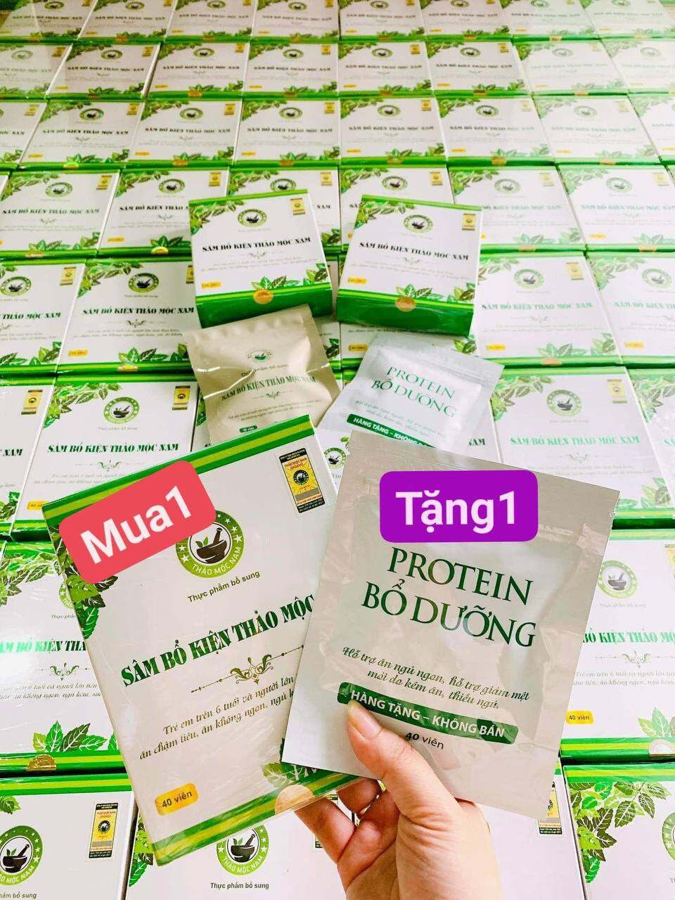 Sâm bổ kiện thảo mộc nam