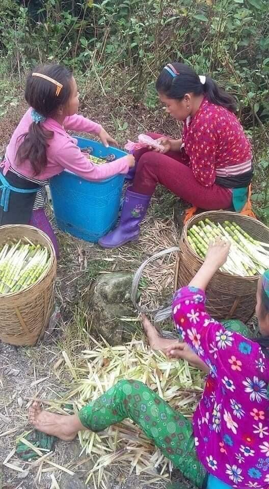 Măng trúc muối 100k/lọ 1,5kg