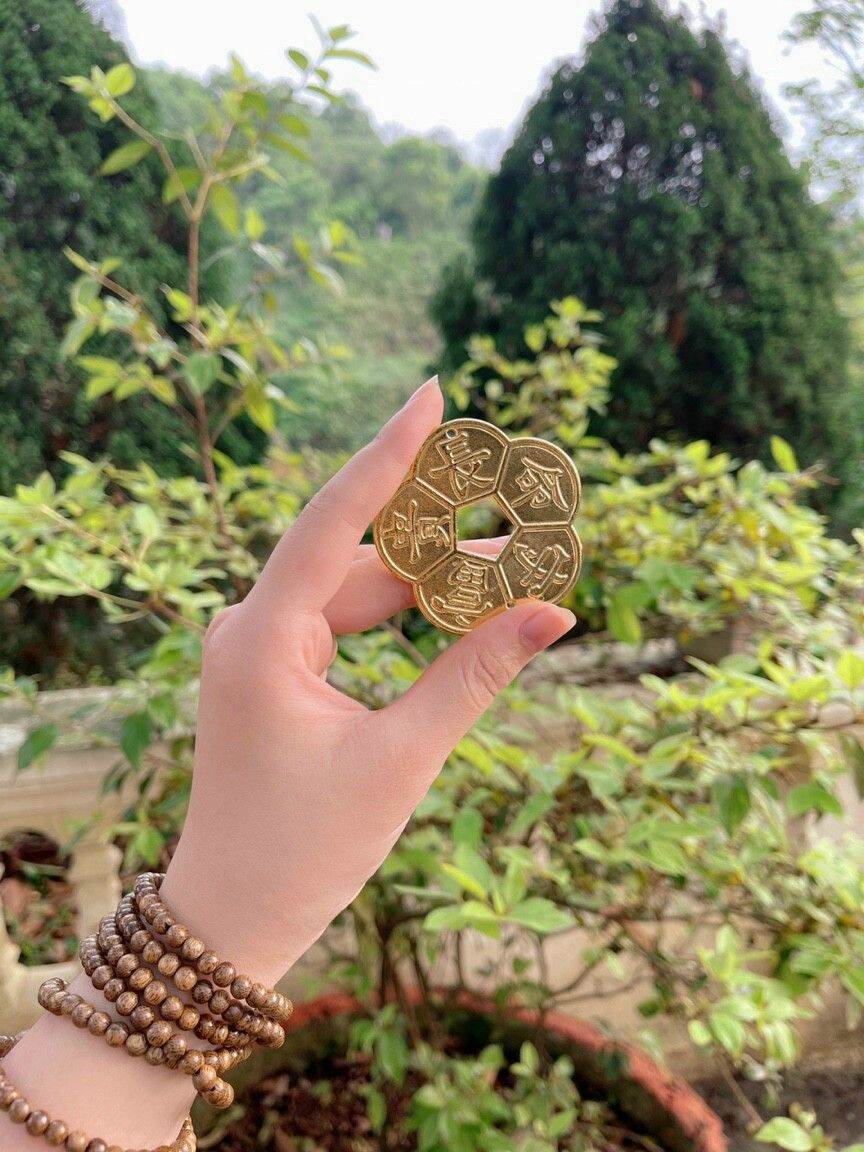 ĐỒNG HOA MAI KIM TIỀN ( HÀNG ĐẸP)