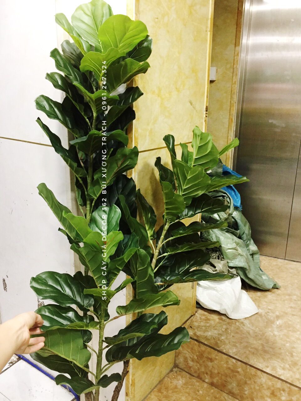 Cây bàng giả cao m7 - không kèm chậu