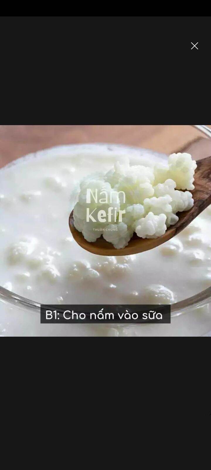nâm sữa kefir.con sữa làm sữa chua.sữa chua tự làm, chỉ cần cho con nấm vào sữa tươi không đường sau 24h sữa đặc lại cho đường vào là bạn sẽ có 1 mẻ sữa chua ngon lành a