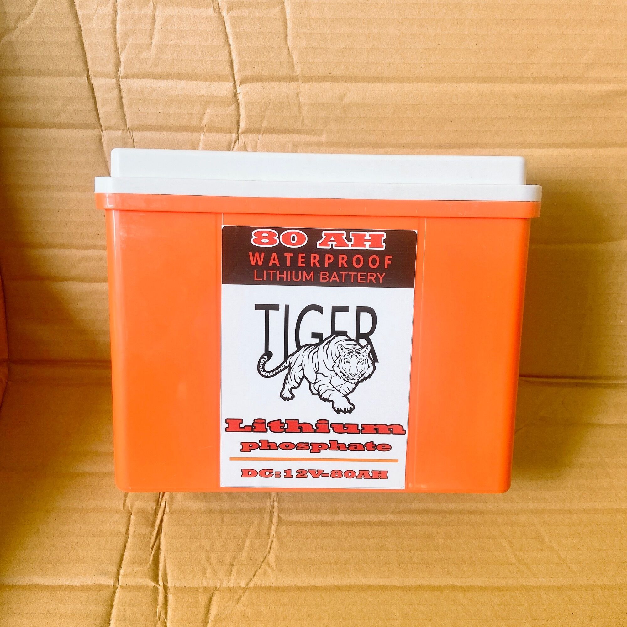 Bình pin lithium chống nước 12V - 80Ah TIGER