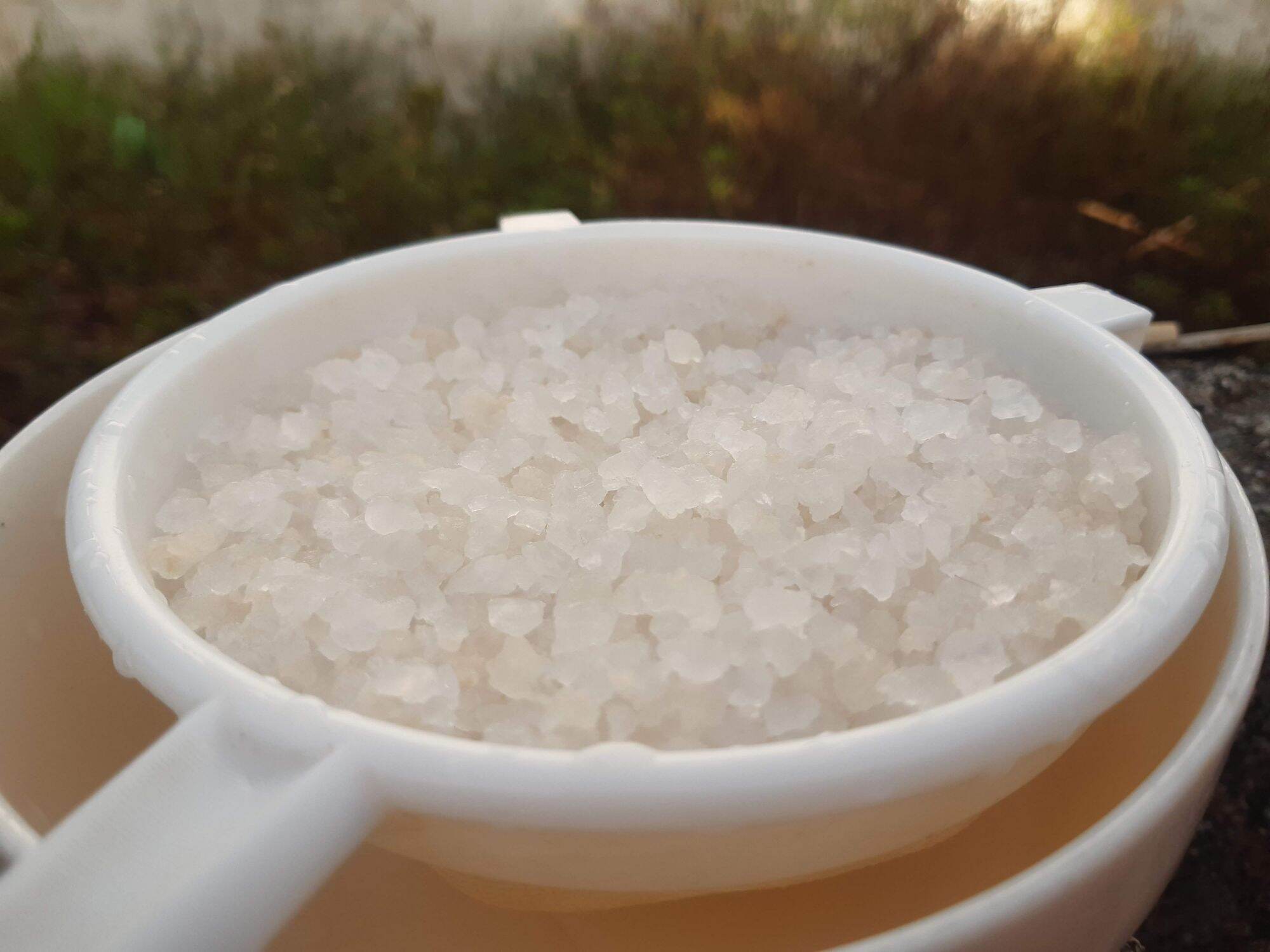 nấm nước kefir( water kefir) đã thuần dừa ( 60gr)
