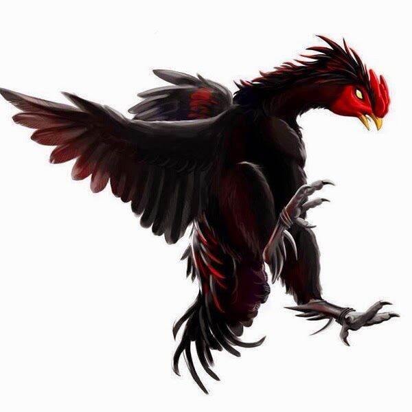 Phụ Kiện Gà LINH ĐAN